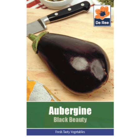 Aubergine Black Beauty  