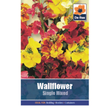 Wallflower Single Mixed