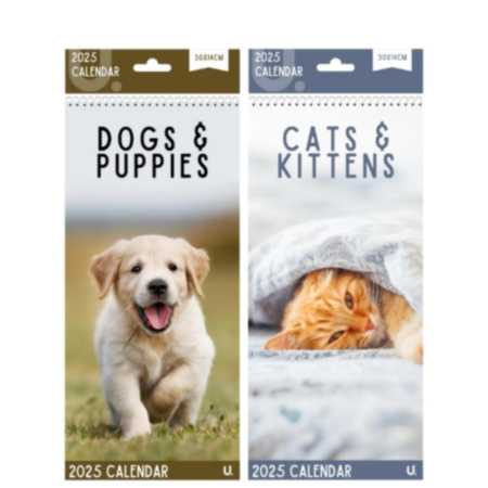 2025 Cats & Dogs Slim Calendar