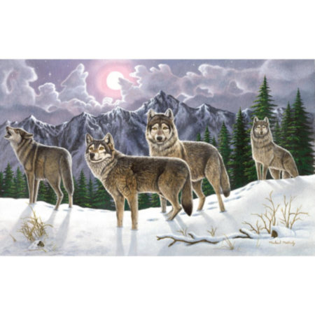 Paint By Numbers Large - Wolves