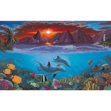 Paint By Numbers Large - Ocean Life