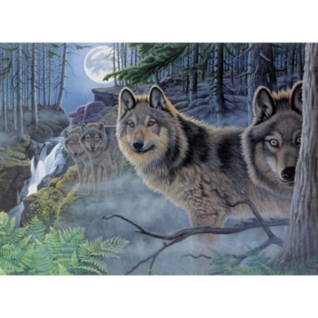 Paint by Numbers Large Mystical Moonlight
