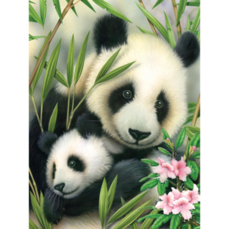 Painting By Numbers Panda And Baby