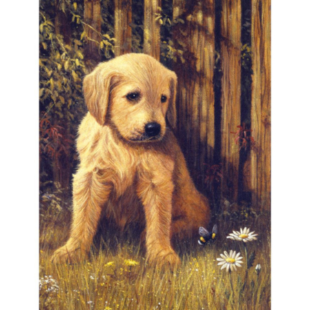 Paint by Numbers Junior Puppy Blues