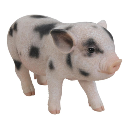 Vivid Arts Standing Micro Pig Assorted Black Spot Garden Ornament