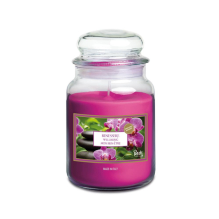 Petali Wellbeing Candle - Large Jar