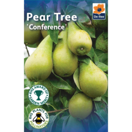 De Ree Grow Your Own 1.4m / 1.6m Fruit Tree - Conference Pear