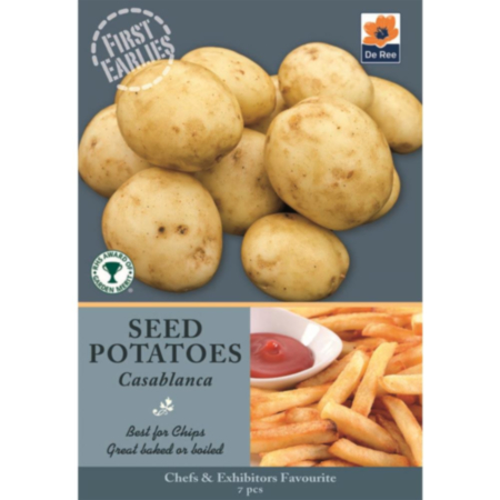 De Ree Casablanca First Earlies Seed Potatoes   