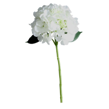 Short Stem Hydrangea