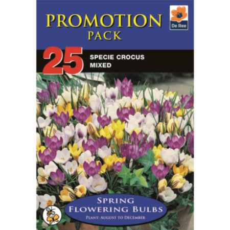 Specie Crocus Mixed