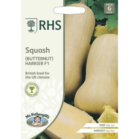 RHS Squash (Butternut) Harrier F1 Seeds