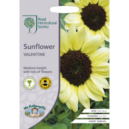 RHS Sunflower Valentine Seeds