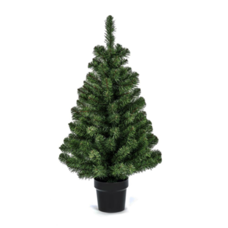 90cm Woodcote Spruce In Pot