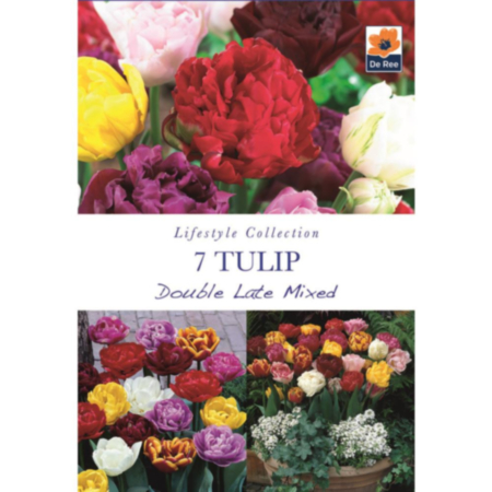 Tulip Double Late Mixed