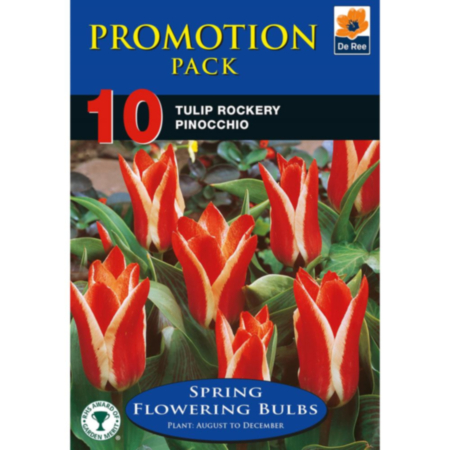 Tulip Rockery Pinocchio