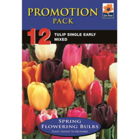 Tulip Single Early Mixed