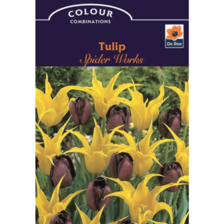 Tulip Spider Works