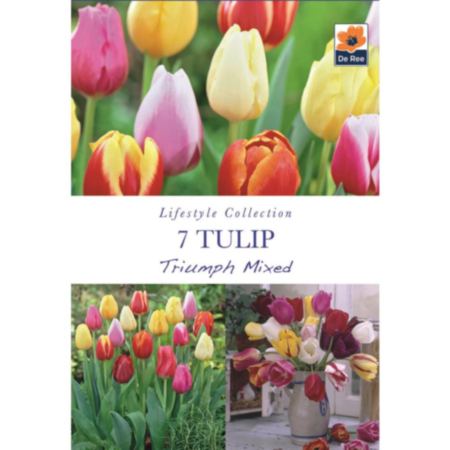 Tulip Triumph Mixed