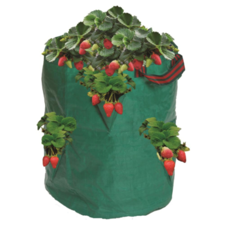 Garland Strawberry/Herb Bag