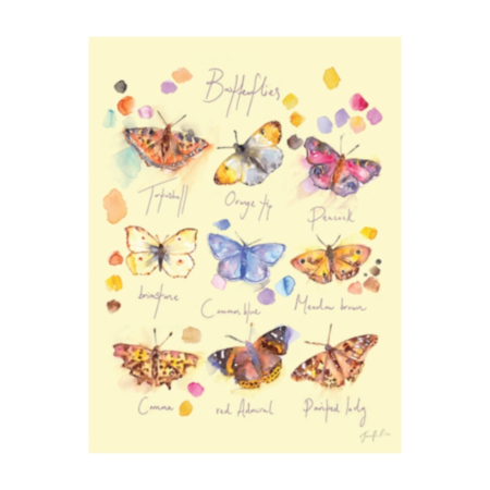 Jennifer Rose 'Butterflies' Canvas Print (30 x 40cm)