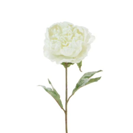 Snowstorm Peony (70cm)