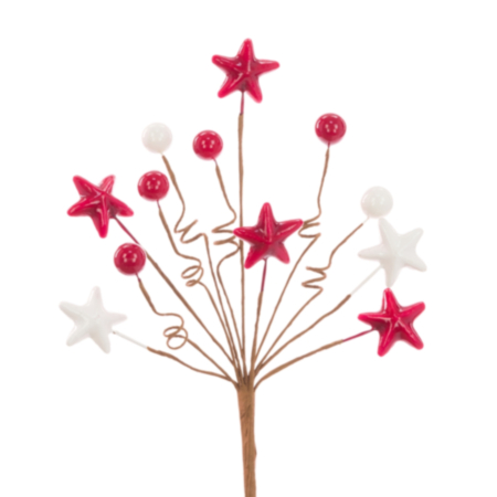 Berry Star Pick (37cm)