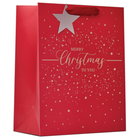 Gift Bag - Merry Christmas (Large)