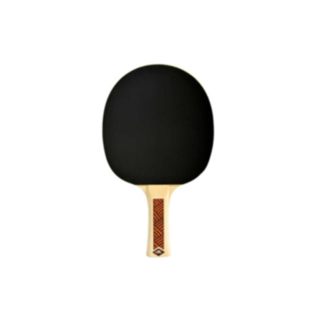 Champs Line 300 Table Tennis Paddle