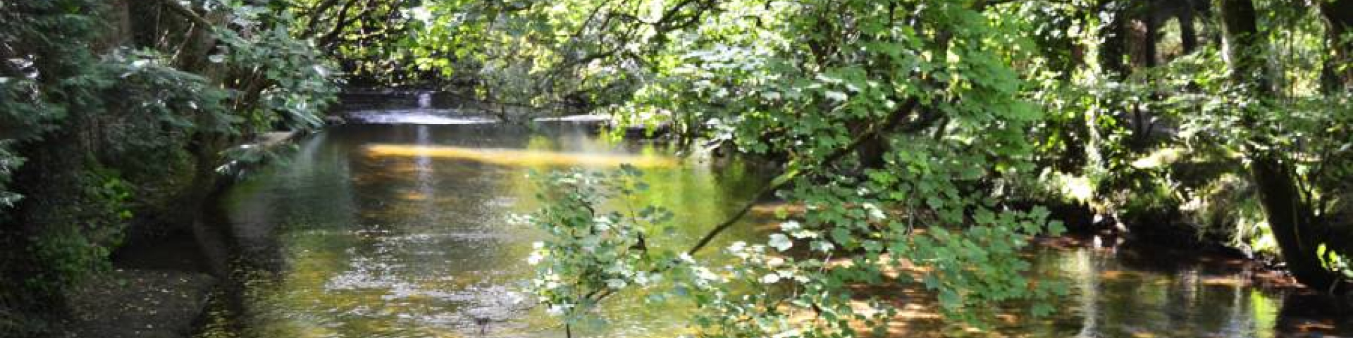 Top 3 Things to do at Trago in Liskeard