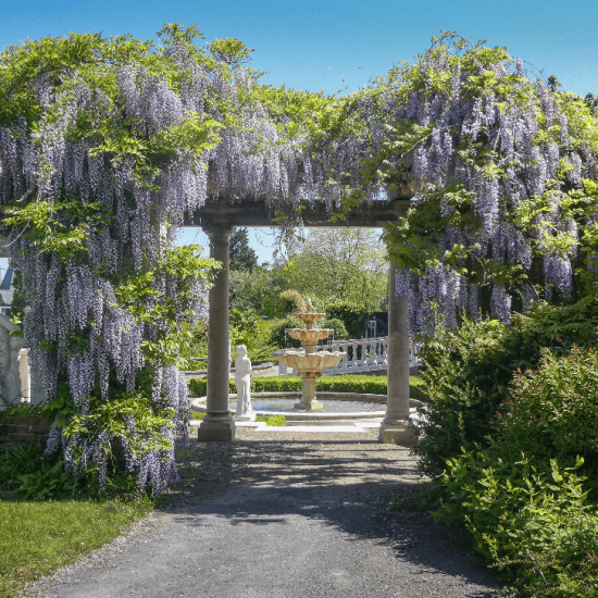 Garden Park Summer Quiz