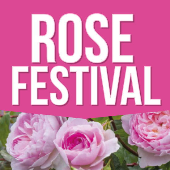 Rose Festival