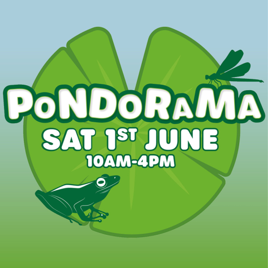 Pondorama